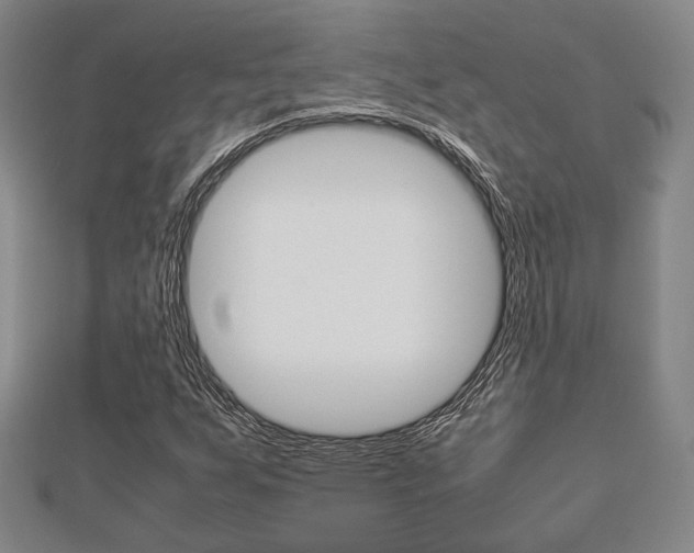 X0000112871255200908211022