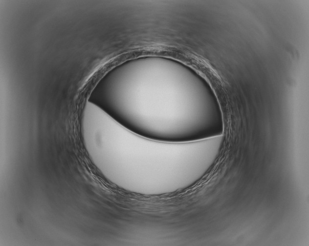 X0000112871256200908211022