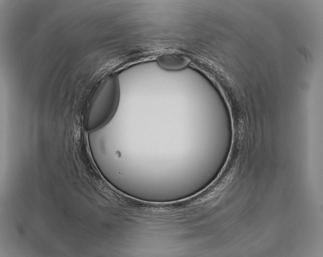 X0000112871257200908211022