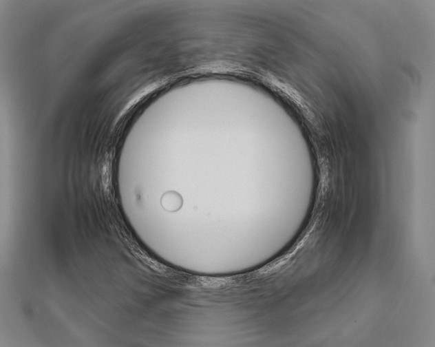 X0000112871258200908211022