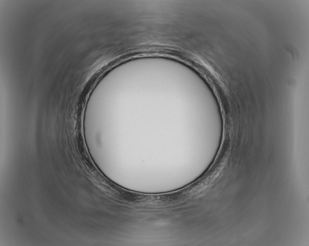 X0000112871259200908211022