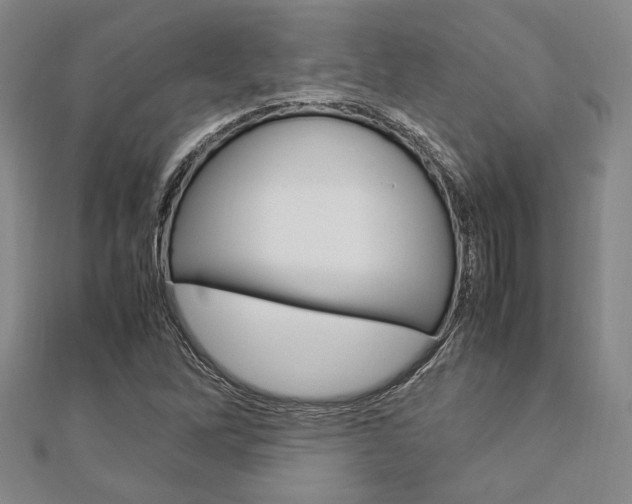 X0000112871262200908211022