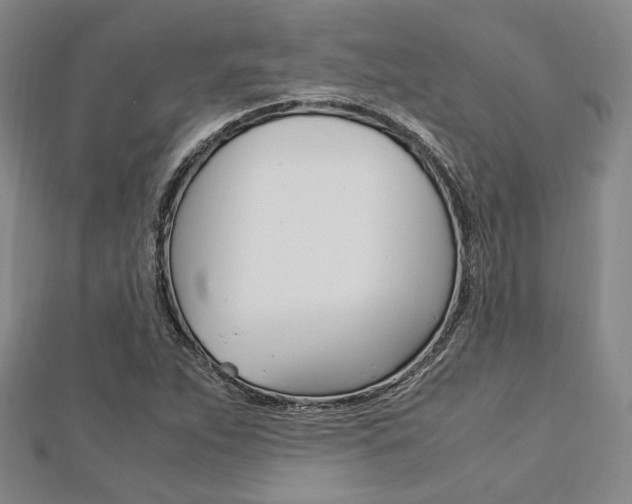X0000112871263200908211022