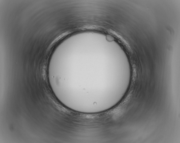X0000112871266200908211022