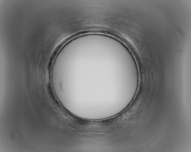 X0000112871267200908211022
