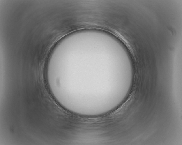 X0000112871269200908211022