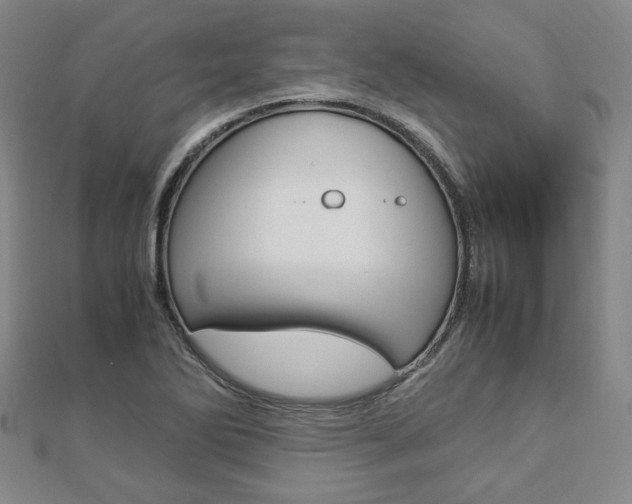 X0000112871270200908211022