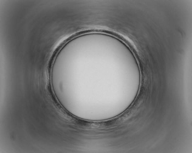 X0000112871271200908211022