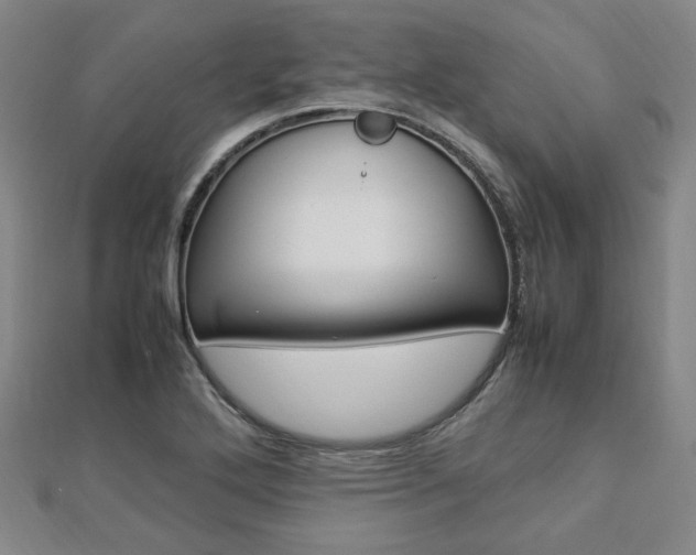 X0000112871272200908211022