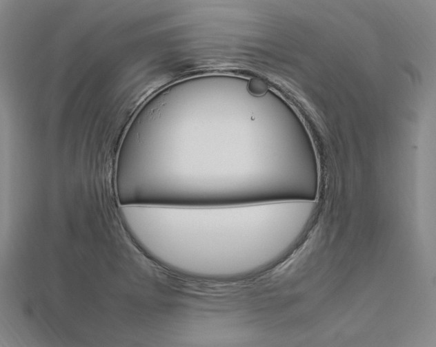 X0000112871273200908211022
