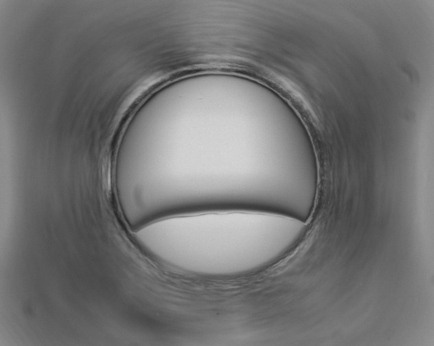 X0000112871275200908211022