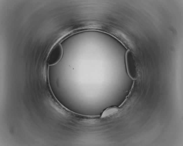 X0000112871276200908211022