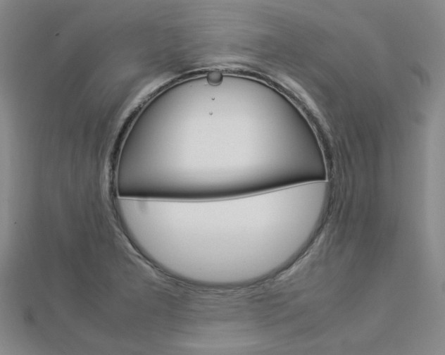 X0000112871277200908211022