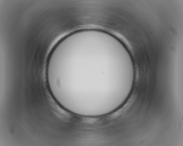 X0000112871278200908211022