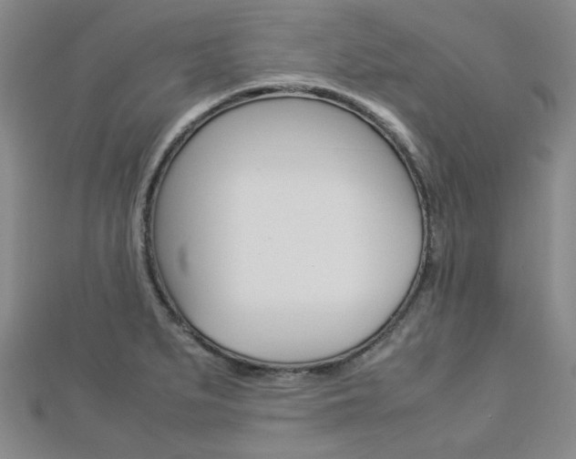 X0000112871279200908211022