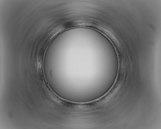 X0000112871281200908211022