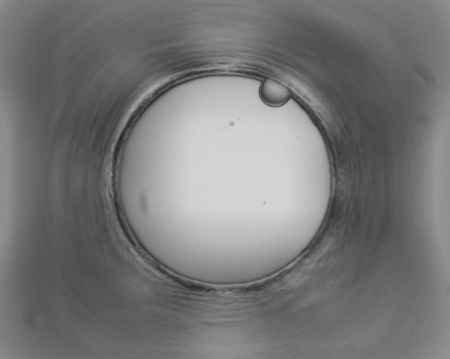 X0000112871283200908211022