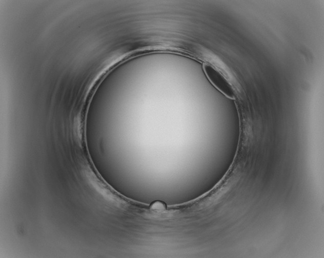 X0000112871284200908211022