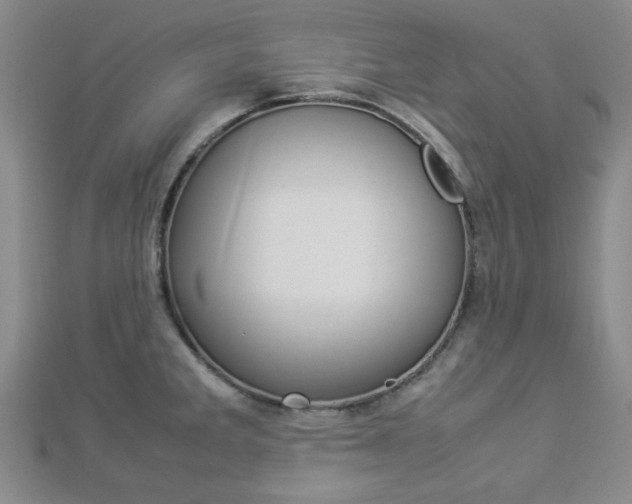 X0000112871285200908211022