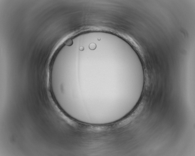 X0000112871286200908211022