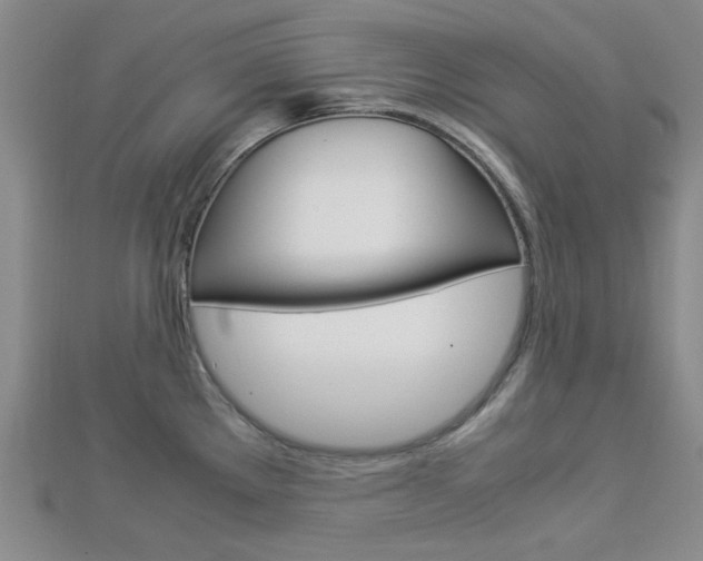 X0000112871289200908211022