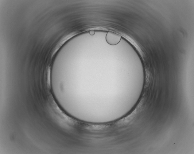 X0000112871290200908211022