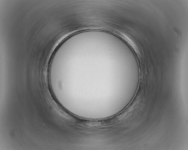 X0000112871291200908211022
