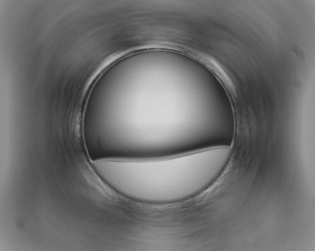 X0000112871292200908211022