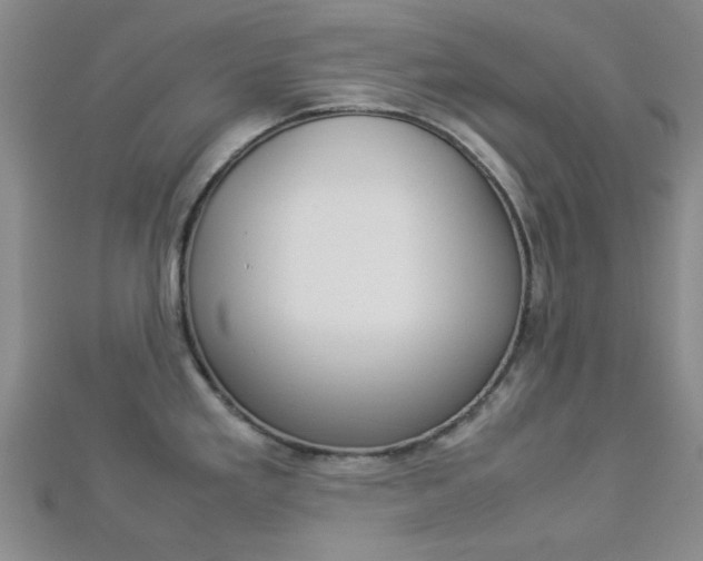 X0000112871293200908211022