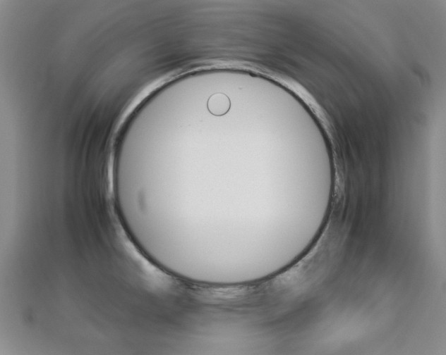 X0000112871294200908211022
