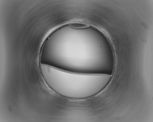 X0000112871296200908211022