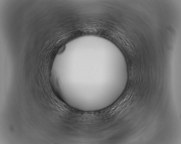 X0000112871297200908211021