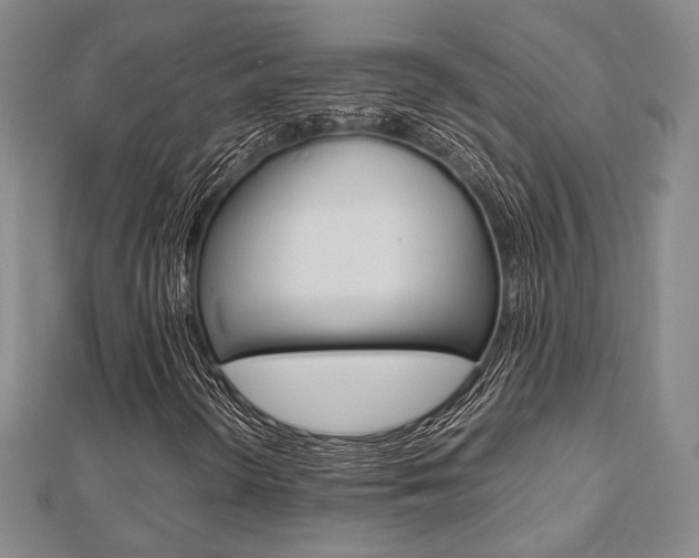 X0000112871298200908211021