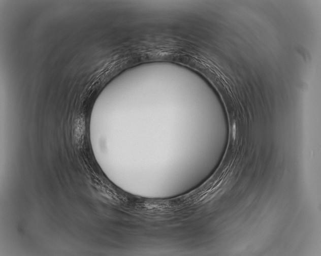 X0000112871299200908211021