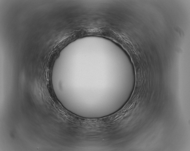 X0000112871301200908211021