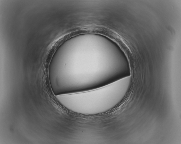 X0000112871304200908211021