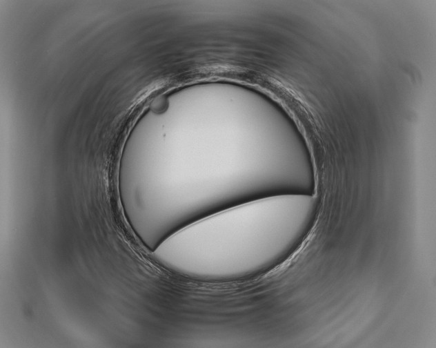X0000112871305200908211021