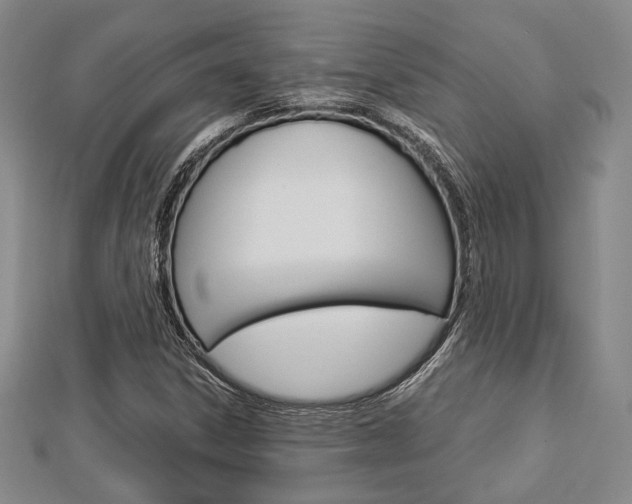 X0000112871306200908211021