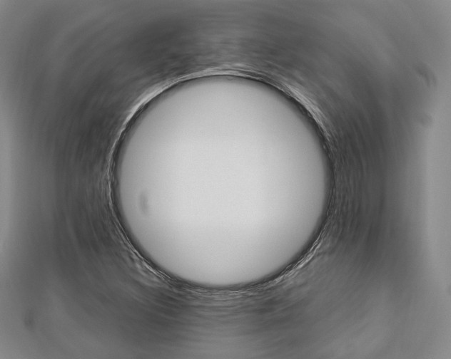 X0000112871308200908211021
