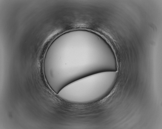 X0000112871309200908211021