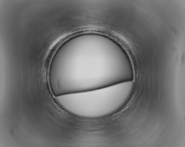 X0000112871310200908211021