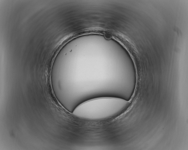 X0000112871313200908211021