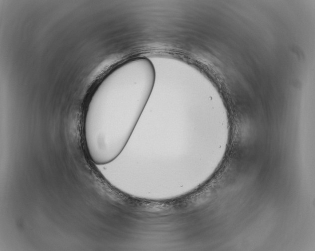 X0000112871314200908211021