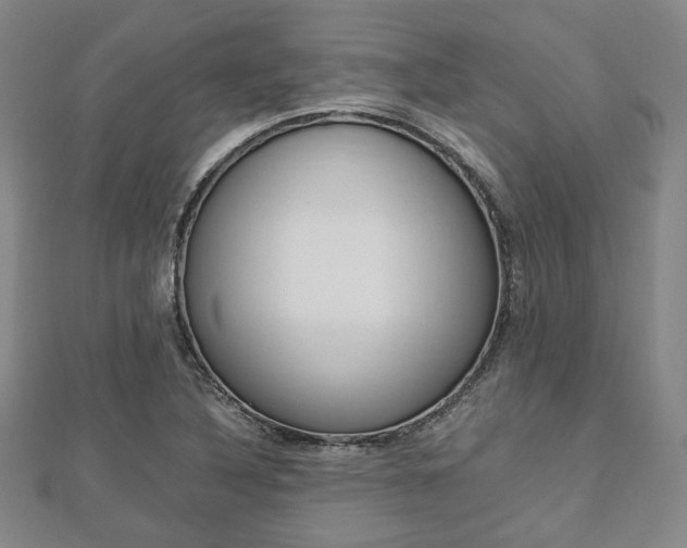 X0000112871316200908211021