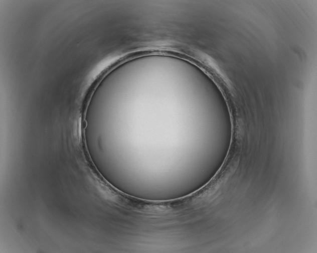 X0000112871320200908211021