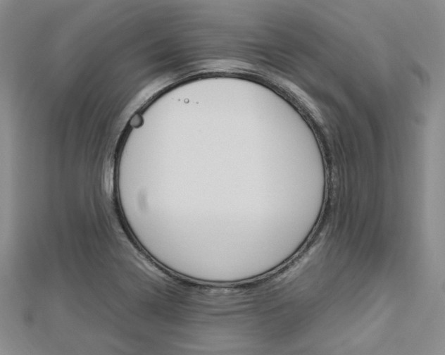 X0000112871322200908211021