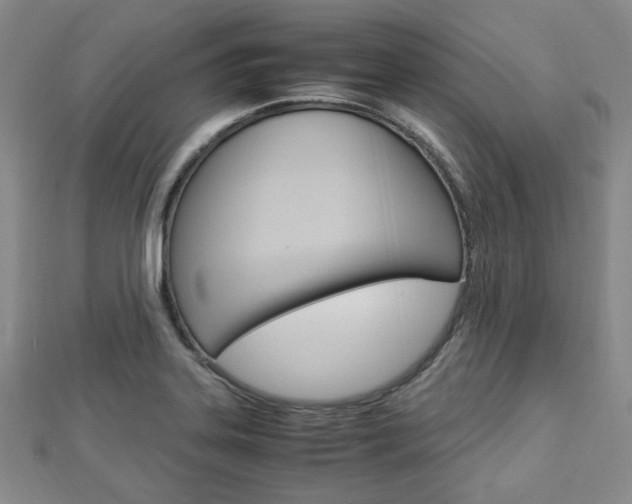 X0000112871323200908211021