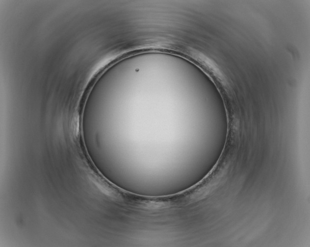 X0000112871324200908211021
