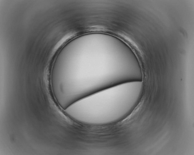 X0000112871325200908211021