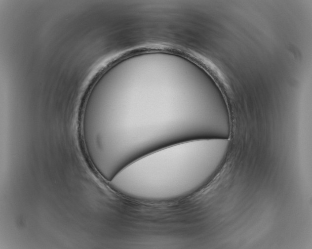 X0000112871327200908211021